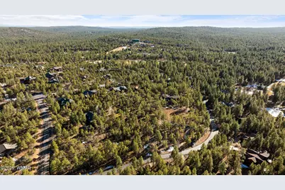 1481 S Snowberry Loop, Show Low, AZ 85901 - Photo 20