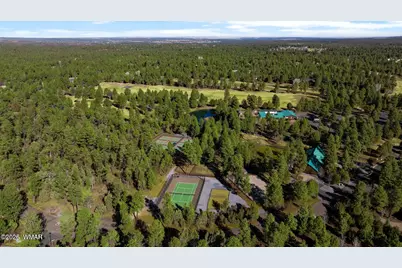 1481 S Snowberry Loop, Show Low, AZ 85901 - Photo 28