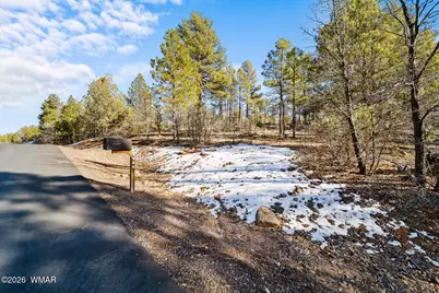 1481 S Snowberry Loop, Show Low, AZ 85901 - Photo 6