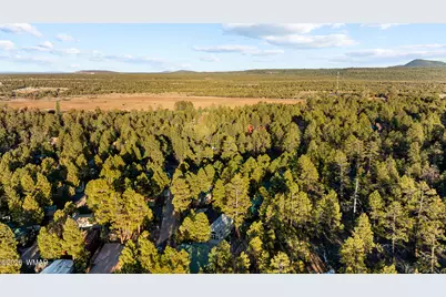 4400 S Mogollon Trail, Show Low, AZ 85901 - Photo 32