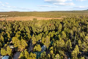 4400 S Mogollon Trail, Show Low, AZ 85901 - Photo 32