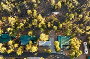 4400 S Mogollon Trail, Show Low, AZ 85901 - Photo 30