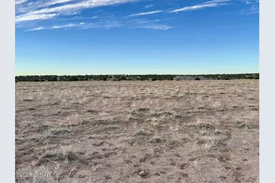 1017 Woodland Valley Ranch Road, Saint Johns, AZ 85936 - Photo 16