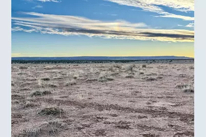 1017 Woodland Valley Ranch Road, Saint Johns, AZ 85936 - Photo 22