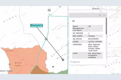1017 Woodland Valley Ranch Road, Saint Johns, AZ 85936 - Photo 10