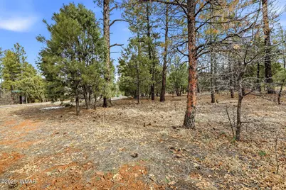 2480 Narrow Leaf Lane, Show Low, AZ 85901 - Photo 8