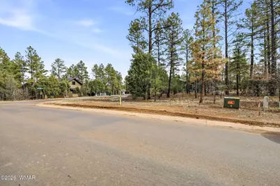 2480 Narrow Leaf Lane, Show Low, AZ 85901 - Photo 8