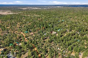 2056 Lone Mountain, Overgaard, AZ 85933 - Photo 30