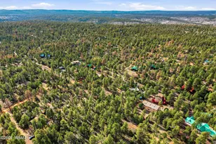 2056 Lone Mountain, Overgaard, AZ 85933 - Photo 32