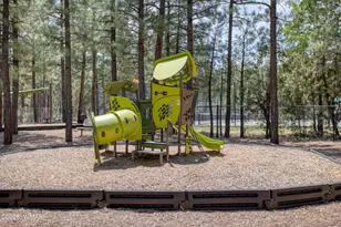 3170 W Lodgepole Ln, Show Low, AZ 85901 - Photo 38