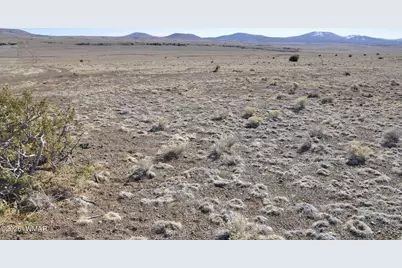 152 Cr 3371, Concho, AZ 85924 - Photo 14