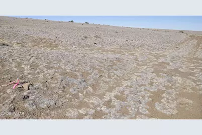 152 Cr 3371, Concho, AZ 85924 - Photo 12