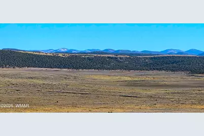 Tbd Bunkhouse Road, Show Low, AZ 85901 - Photo 2