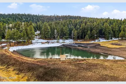 14 County Road N 1332, Greer, AZ 85927 - Photo 8