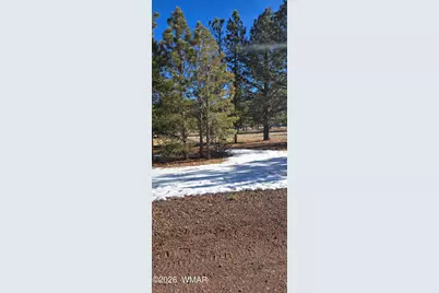 20 County Road N1332, Greer, AZ 85927 - Photo 12