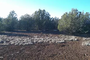 346 Cr Rd, Concho, AZ 85924 - Photo 1