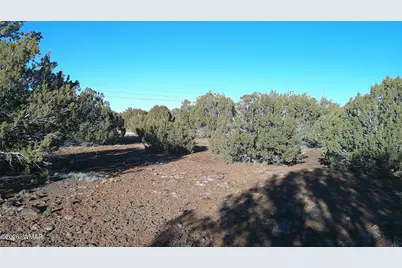 346 Cr Road, Concho, AZ 85924 - Photo 14