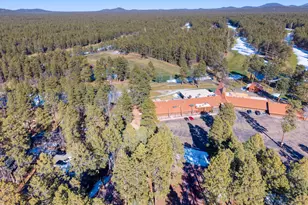 6689 Country Club Dr, Pinetop, AZ 85935 - Photo 32