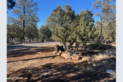 5029 Deer Valley, Lakeside, AZ 85929 - Photo 1