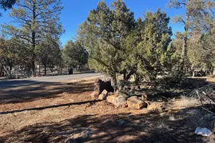 5029 Deer Valley, Lakeside, AZ 85929 - Photo 1