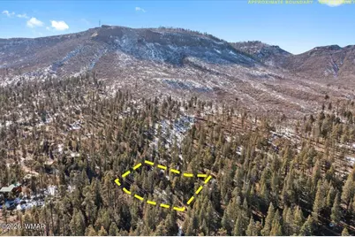 9 County Rd 2073, Alpine, AZ 85920 - Photo 6