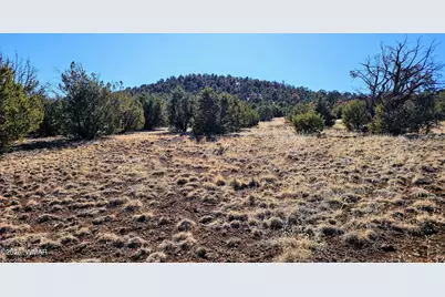 76 N3130, Vernon, AZ 85940 - Photo 24