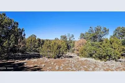 76 N3130, Vernon, AZ 85940 - Photo 8
