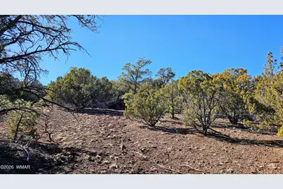76 N3130, Vernon, AZ 85940 - Photo 4