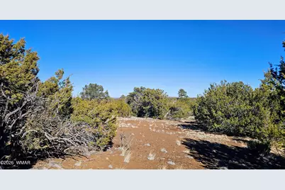 76 N3130, Vernon, AZ 85940 - Photo 10