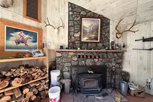 2 County Road N2160, Nutrioso, AZ 85932 - Photo 6