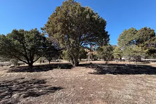 2 County Road N2160, Nutrioso, AZ 85932 - Photo 28