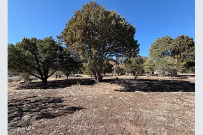 2 County Road N2160, Nutrioso, AZ 85932 - Photo 28