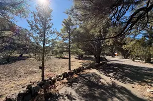 2 County Road N2160, Nutrioso, AZ 85932 - Photo 26