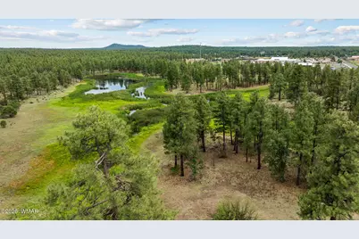 1261 W Big Springs Trail, Lakeside, AZ 85929 - Photo 54