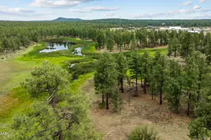 1261 W Big Springs Trail, Lakeside, AZ 85929 - Photo 54