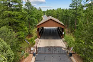 1261 W Big Springs Trail, Lakeside, AZ 85929 - Photo 4