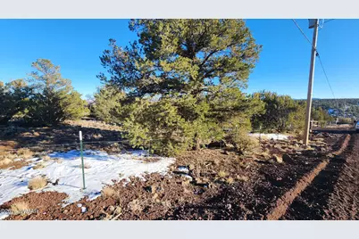 4 County Rd 8127, Concho, AZ 85924 - Photo 2