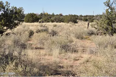 5039 N Pima Road, Snowflake, AZ 85937 - Photo 20