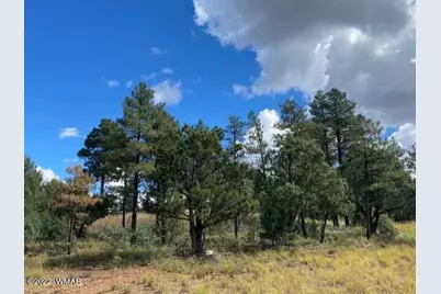 2101 W Whispering Springs, Show Low, AZ 85901 - Photo 1