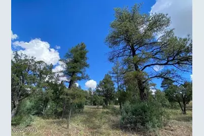 2101 W Whispering Springs, Show Low, AZ 85901 - Photo 2