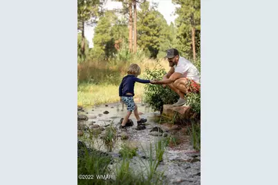 2101 W Whispering Springs, Show Low, AZ 85901 - Photo 10