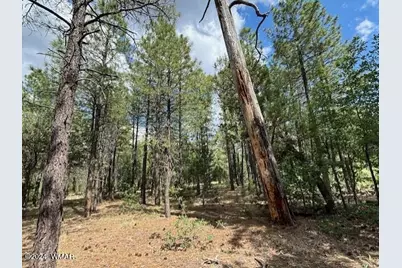 2340 W Pinegrass Road, Show Low, AZ 85901 - Photo 4