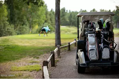 2340 W Pinegrass Road, Show Low, AZ 85901 - Photo 10