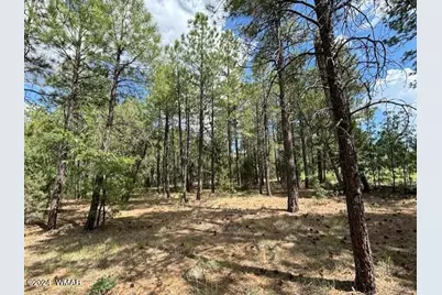 2340 W Pinegrass Road, Show Low, AZ 85901 - Photo 2