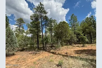 2341 W Pinegrass Road, Show Low, AZ 85901 - Photo 1