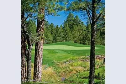 2341 W Pinegrass Road, Show Low, AZ 85901 - Photo 6