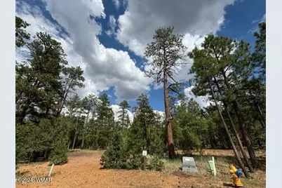 2341 W Pinegrass Road, Show Low, AZ 85901 - Photo 2