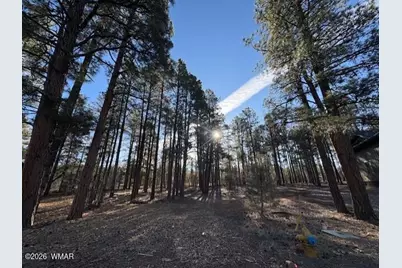 2360 Narrow Leaf Lane, Show Low, AZ 85901 - Photo 6