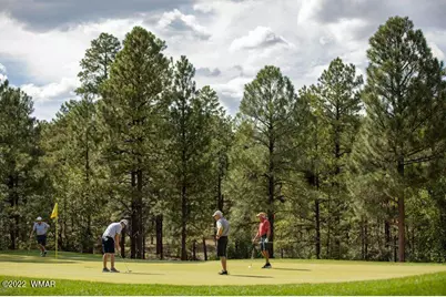 2360 Pinegrass Road, Show Low, AZ 85901 - Photo 8