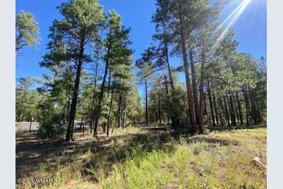 2360 Pinegrass Road, Show Low, AZ 85901 - Photo 4